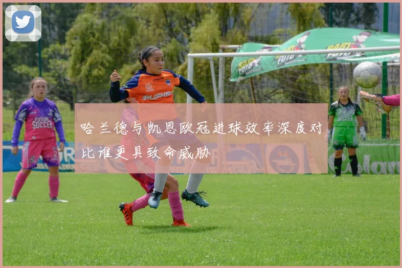 哈兰德与凯恩欧冠进球效率深度对比谁更具致命威胁