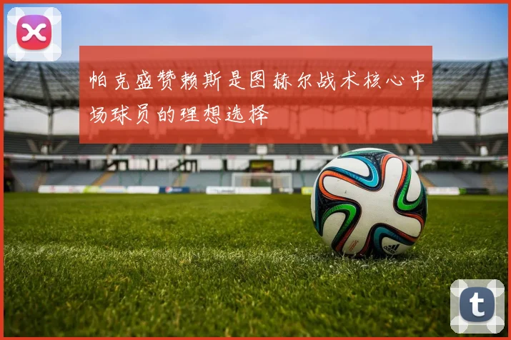 帕克盛赞赖斯是图赫尔战术核心中场球员的理想选择